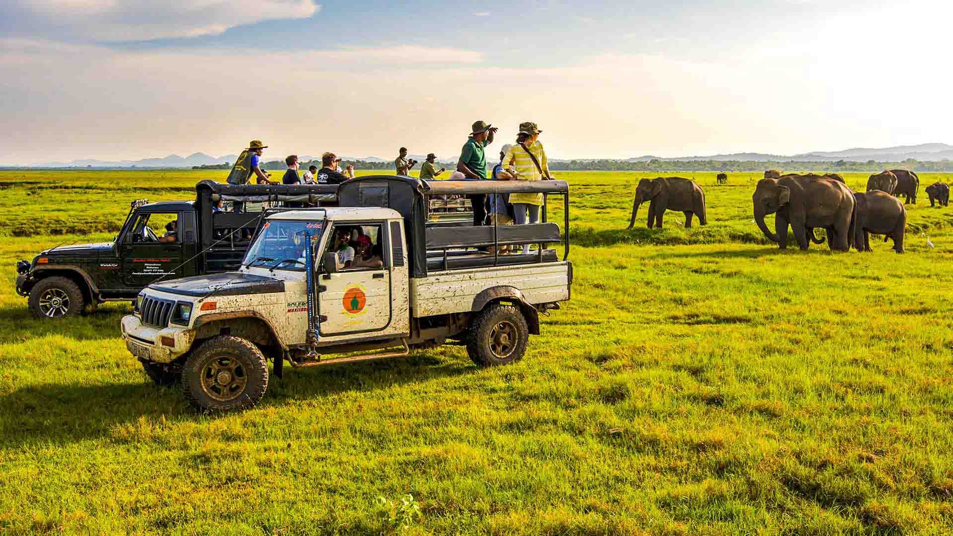 Habarana, Sri Lanka